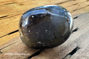 Ona Beach Rockhounding in Oregon: The picture "Ona Beach agate" features a close-up of a translucent, dark brown agate stone held between fingers, with a blurred picnic table and grassy area in the background.