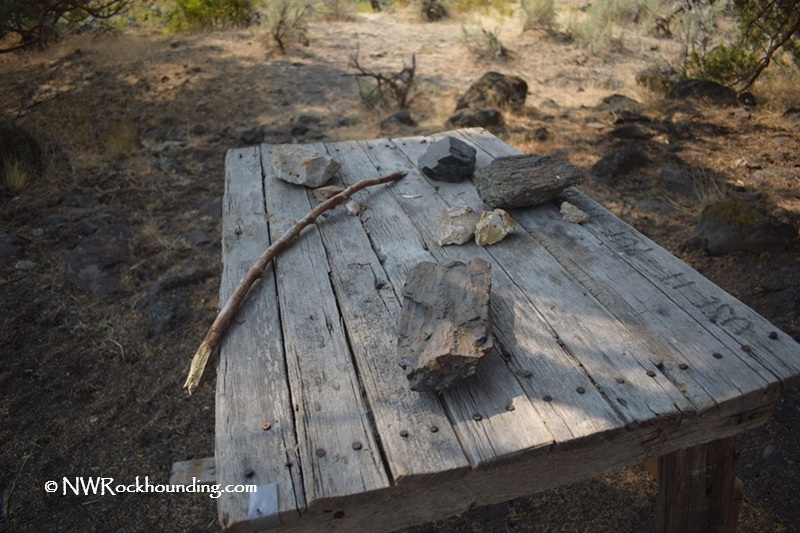 Stinkingwater Petrified Wood – Clear Creek Rockhounding in Eastern Oregon: The picture "Stinkingwater Petrified Wood – Clear Creek wooden table with rocks" shows a rustic wooden table outdoors, displaying several pieces of petrified wood, rocks, and a stick, with dry ground and scattered stones in the background.