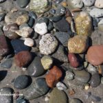 Bullard Beach Rockhounding, Oregon Coast - Treasures of Coquille River Mouth Gravel Bars in Oregon: The picture "Bullard Beach Rockhounding - Treasures of Coquille River Mouth Gravel Bars in Oregon – mixed agates and jaspers on wet sand" shows a close-up of various agates, jaspers, and other colorful rocks, some wet and shiny, scattered across the sand and gravel.