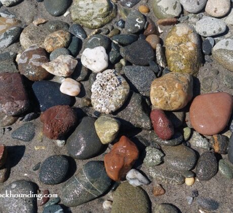 Bullard Beach Rockhounding, Oregon Coast - Treasures of Coquille River Mouth Gravel Bars in Oregon: The picture "Bullard Beach Rockhounding - Treasures of Coquille River Mouth Gravel Bars in Oregon – mixed agates and jaspers on wet sand" shows a close-up of various agates, jaspers, and other colorful rocks, some wet and shiny, scattered across the sand and gravel.