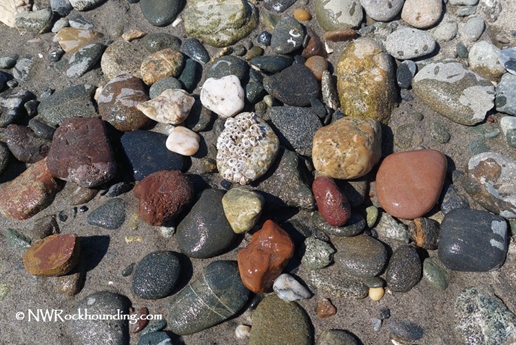 Bullard Beach Rockhounding - Treasures of Coquille River Mouth Gravel Bars in Oregon: The picture "Bullard Beach Rockhounding - Treasures of Coquille River Mouth Gravel Bars in Oregon – mixed agates and jaspers on wet sand" shows a close-up of various agates, jaspers, and other colorful rocks, some wet and shiny, scattered across the sand and gravel.