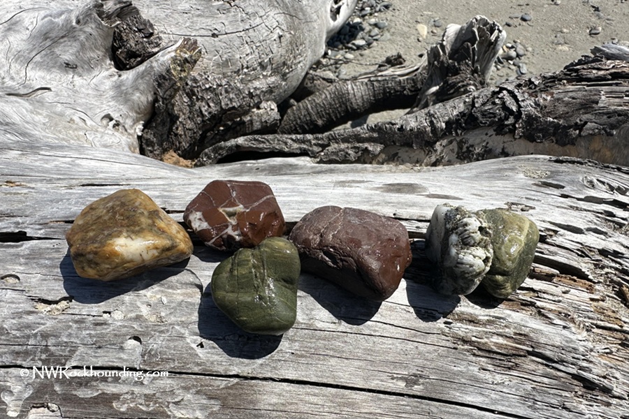 Bullard Beach Rockhounding - Treasures of Coquille River Mouth Gravel Bars in Oregon: The picture "Bullard Beach Rockhounding - Treasures of Coquille River Mouth Gravel Bars in Oregon – colorful rocks on driftwood" features five polished and colorful rocks, including green, brown, and white stones, arranged on a large piece of driftwood on the beach.