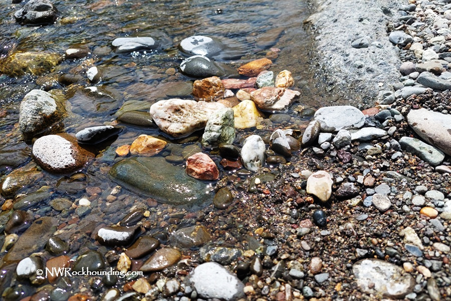 Myrtle Creek Rockhounding in Oregon: The picture "Myrtle Creek Rockhounding in Oregon – colorful rocks in shallow water" depicts a close-up view of assorted rounded rocks in shades of white, orange, green, and gray, lying in the clear, shallow edge of the creek.