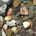South Umpqua Rockhounding in Oregon: The picture "South Umpqua Rockhounding in Oregon – assorted colorful river rocks underwater" displays a close-up view of green, white, red, gray, and tan rocks sitting in shallow river water, highlighting their unique patterns and colors.