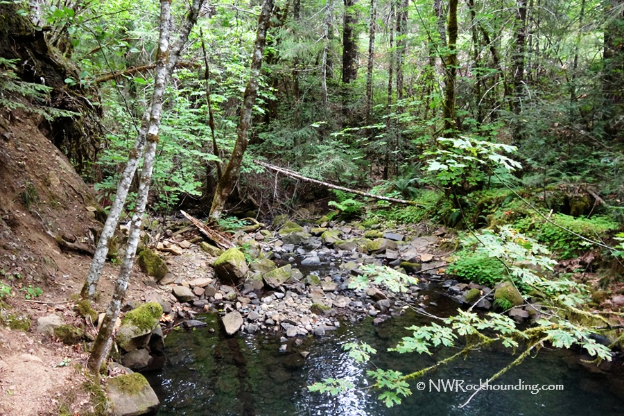 South Umpqua Rockhounding in Oregon: The picture "South Umpqua Rockhounding in Oregon – shaded forest creek with rocks" depicts a peaceful, shallow creek meandering through a lush, green forest with mossy rocks, leaning trees, and dense undergrowth.