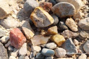 Yellowstone River Rockhounding in Montana: The picture "Yellowstone River Rockhounding in Montana – colorful rocks close up" features a close-up view of several colorful rocks, including yellow, red, and white pieces, lying among other pebbles on a sunlit gravel riverbank.