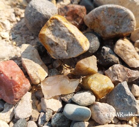 Yellowstone River Rockhounding in Montana: The picture "Yellowstone River Rockhounding in Montana – colorful rocks close up" features a close-up view of several colorful rocks, including yellow, red, and white pieces, lying among other pebbles on a sunlit gravel riverbank.