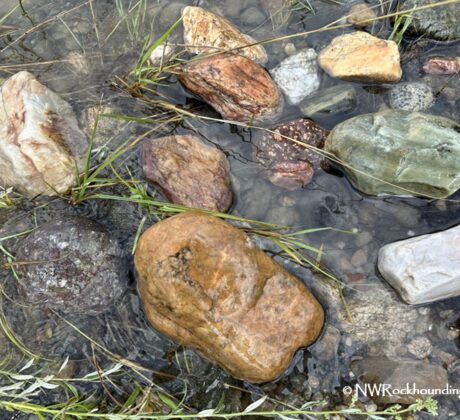 Columbia River Rocks, Washington