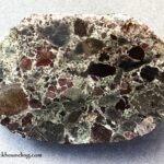 Quartzville Creek Rockhounding in Oregon - Volcanic Rocks, Quartz, and Gold Flakes: The picture "Quartzville Creek Rockhounding – polished conglomerate rock" displays a single oval conglomerate rock, where the surface reveals embedded dark red and brown mineral fragments within a gray matrix.