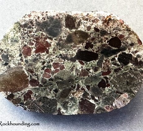 Quartzville Creek Rockhounding in Oregon - Volcanic Rocks, Quartz, and Gold Flakes: The picture "Quartzville Creek Rockhounding – polished conglomerate rock" displays a single oval conglomerate rock, where the surface reveals embedded dark red and brown mineral fragments within a gray matrix.