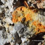 Boulder Creek Pyrite Rockhounding at Quartzville Creek Oregon: The picture "orange-stained quartz with pyrite cube" features a chunk of quartz rock streaked with orange and yellow iron staining, highlighting a small, shiny pyrite cubic crystal on its surface, set among other angular rock fragments.