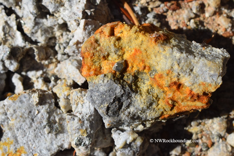 Boulder Creek Pyrite Rockhounding at Quartzville Creek Oregon: The picture "orange-stained quartz with pyrite cube" features a chunk of quartz rock streaked with orange and yellow iron staining, highlighting a small, shiny pyrite cubic crystal on its surface, set among other angular rock fragments.
