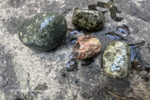 Brice Creek rocks, Oregon