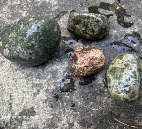 Brice Creek rocks, Oregon