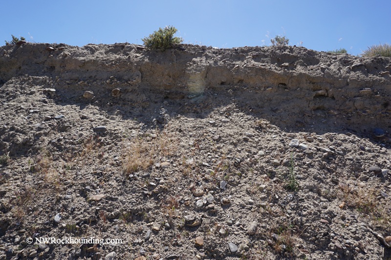 Bruneau River Canyon Rockhounding in Idaho: The picture "Bruneau River Canyon gravely hillside bank" displays a steep, rocky embankment made of loose, gravelly soil and embedded stones, rising under a clear blue sky with just a few tufts of vegetation at the top.