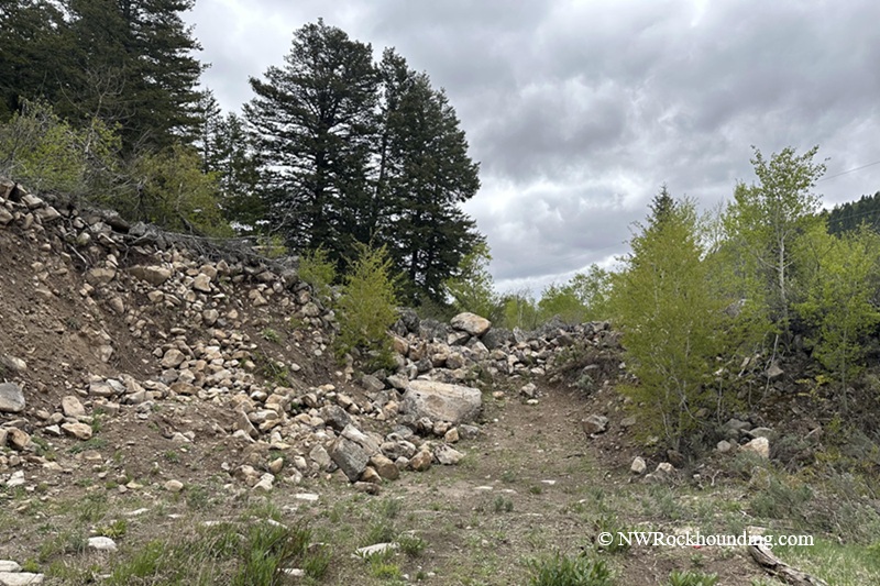 The China Hat Geological Site in Idaho: The picture "China Hat Geological Site rocky old road" depicts a dirt pathway lined with large and small rocks, winding through low vegetation and young trees, with tall evergreens and a cloudy sky in the background.