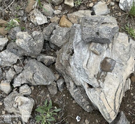 The China Hat Geological Site in Idaho: The picture "China Hat Geological Site quartzite rock fragments" shows a cluster of light gray and tan quartzite rocks on the ground, some displaying angular breaks and rough textures, surrounded by scattered green grass and smaller stones.