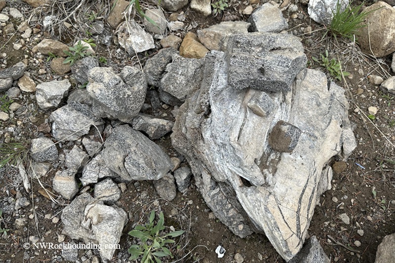 The China Hat Geological Site in Idaho: The picture "China Hat Geological Site quartzite rock fragments" shows a cluster of light gray and tan quartzite rocks on the ground, some displaying angular breaks and rough textures, surrounded by scattered green grass and smaller stones.