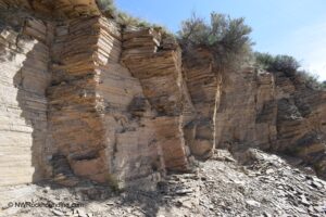 Paris Canyon Rockhounding in Idaho: The picture "Paris Canyon Rockhounding shale cliff outcrop" displays a layered shale rock wall in bright sunlight, with sharp, horizontal striations and sparse vegetation growing along the upper edge.
