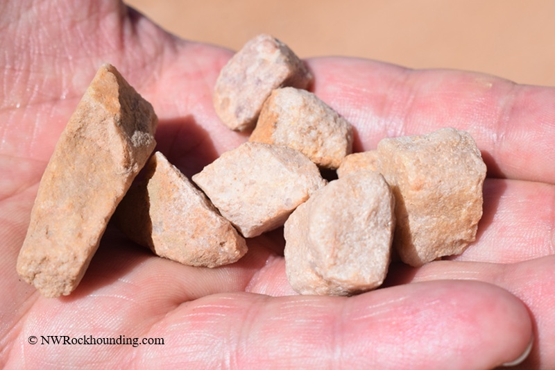 Paris Canyon Rockhounding in Idaho: The picture "Paris Canyon Rockhounding hand holding pink feldspar crystals" shows a close-up of an open palm holding several rough, pale pink feldspar crystals, the facets and edges catching the sunlight.