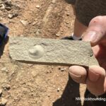 Paris Canyon Rockhounding in Idaho: The picture "Paris Canyon Rockhounding hand holding brachiopod fossil" features a person's hand holding a thin, rectangular rock slab with a prominent circular brachiopod fossil at its center, with the dusty ground and a bag in the blurry background.