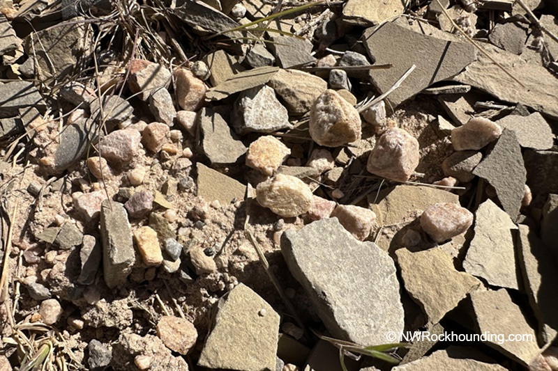 Paris Canyon Rockhounding in Idaho: The picture "Paris Canyon Rockhounding feldspar crystals on rocky ground" captures scattered pink feldspar crystals mixed among sharp pieces of shale and dried grasses on the ground, highlighting the variety of rocks found at the site.