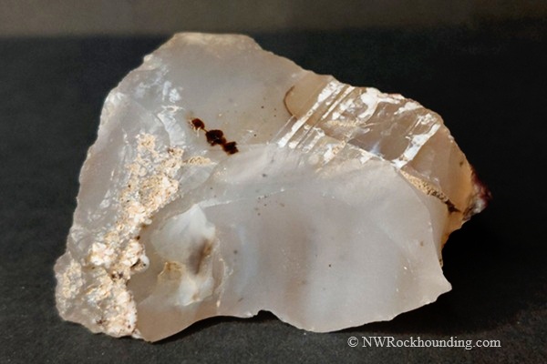 Sommer Camp Road Rockhounding in Idaho: The picture "opal specimen with dendrites" features a rough chunk of mostly translucent gray opal containing dark brown dendritic inclusions, set against a black background.