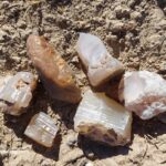 Sommer Camp Road Rockhounding in Idaho: The picture "surface finds of opal and chalcedony" presents several small opal and chalcedony rocks of various shapes and colors, laying on sunlit dusty ground.