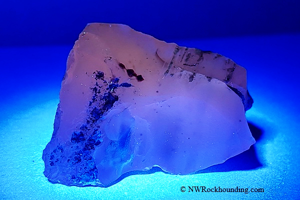 Sommer Camp Road Rockhounding in Idaho: The picture "opal glowing under UV light" shows a specimen of opal illuminated by blue ultraviolet light, making the rock’s translucent portions softly glow.