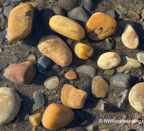 Willamette River Rocks, Oregon