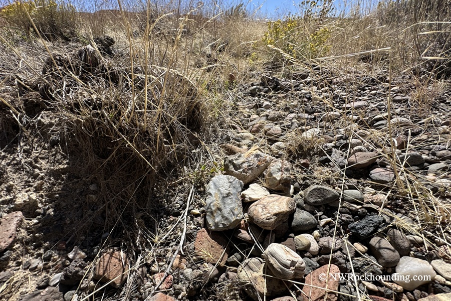 Coal Mine Basin, Idaho - Rocks in Dry Washe