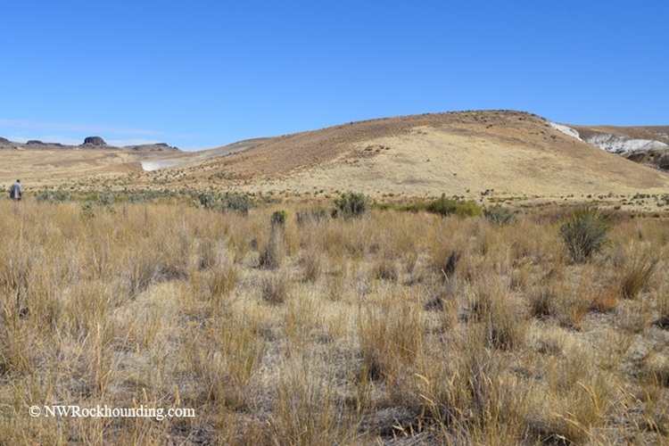 McBride Creek Rockhounding in Idaho - Fossil Site in Background