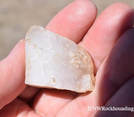 McBride Creek Rockhounding in Idaho - Common opal