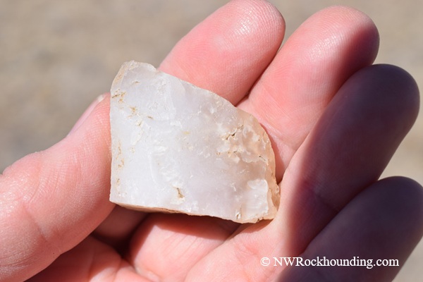 McBride Creek Rockhounding in Idaho - Common opal