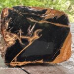 Stayton Bridge - North Santiam River Rockhounding in Oregon: The picture "polished black and tan petrified wood" displays a chunk of black jasper with tan veins and rough tan edges, placed on a weathered wooden surface with blurred green foliage in the background.