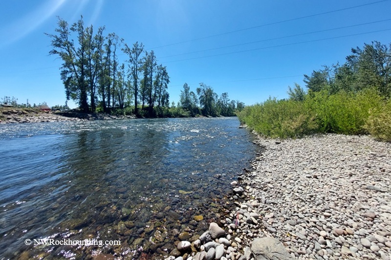 Stayton Bridge - North Santiam River Rockhounding in Oregon: The picture "gravel bar and river on sunny day" features a broad gravel bar along the edge of the North Santiam River, with clear shallow water, a blue sky, and green trees on both sides.