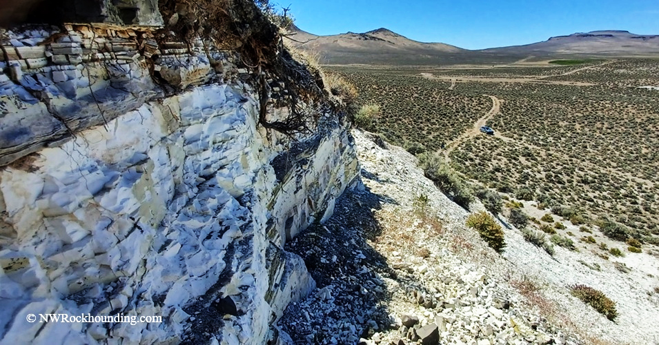 Chalk Canyon Fossils Near Whitehorse Ranch Road, Fields, Oregon: The picture "Chalk Canyon Fossil Wall" shows a rocky, layered white cliff face in Chalk Canyon overlooking a wide desert valley with sparse vegetation and distant mountains under a clear blue sky.