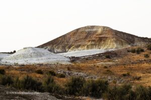 Rockville Petrified Wood Rockhounding Site in Oregon: The picture "Rockville Petrified Wood site hills" features a landscape of rolling hills and mounds with pale white and yellow layers of exposed earth, surrounded by sparse brush and dry grass typical of the rockhounding area.