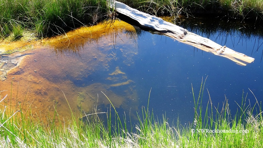 Borax Lake Rockhounding in Oregon: The picture "Borax Lake Hot Spring Pool" shows a small, geothermal pool with a bright orange mineral edge, surrounded by lush green grass and a bleached log lying across the water.