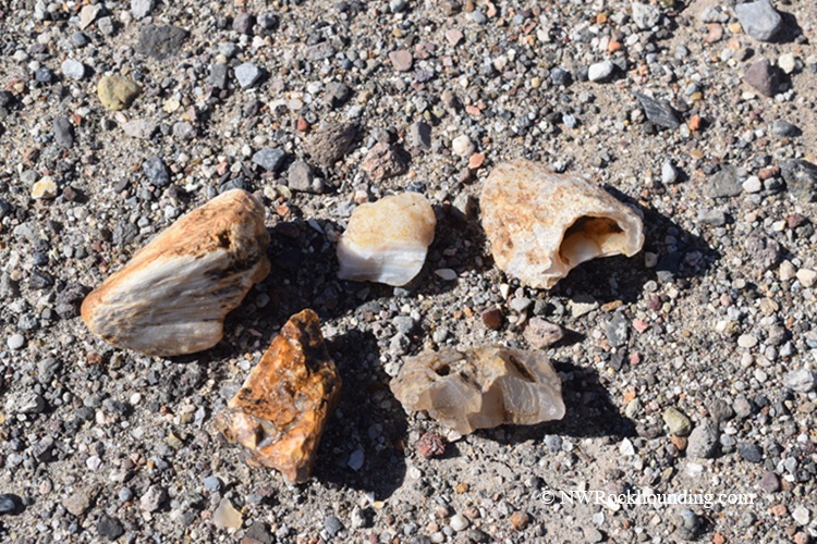 Borax Lake Rockhounding in Oregon: The picture "Borax Lake Chalcedony Finds" displays several rough pieces of chalcedony and agate scattered on sandy ground, showing their natural, varied colors and textures.