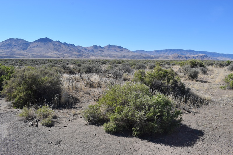 Borax Lake Rockhounding in Oregon: The picture "Borax Lake Sagebrush Plain" captures a wide, open landscape with sparse sagebrush and desert shrubs, with distant rugged mountains under a bright blue sky.