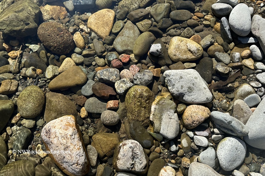 Methow River Rockhounding in Washington – Methow River Mixed Rocks Underwater Methow River Rockhounding in Washington: The picture "Methow River Mixed Rocks Underwater" shows an assortment of variously sized and colored rocks and pebbles resting on the riverbed beneath clear water, with sunlight highlighting their textures.