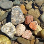Methow River Rockhounding in Washington – Methow River Rocks - Methow River Rockhounding in Washington: The picture "Methow River Agates and Jaspers" is a close-up of several colorful rocks, including white, red, and speckled stones, lying in clear water surrounded by smooth river pebbles.