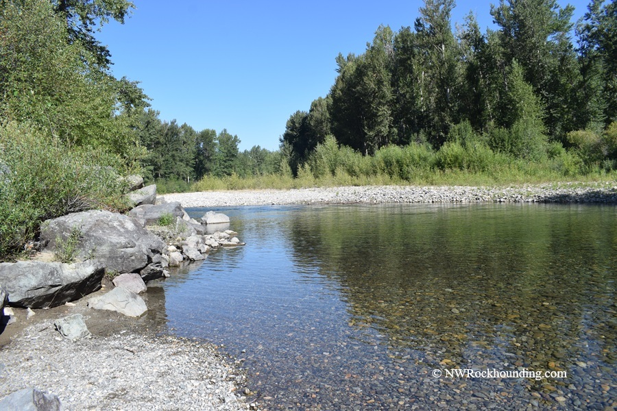 Methow River Rockhounding in Washington – Methow River Shallow BendMethow River Rockhounding in Washington: The picture "Methow River Shallow Bend" shows a clear, shallow river curving gently with a gravel and rocky shoreline in the foreground and dense green trees under a bright blue sky.