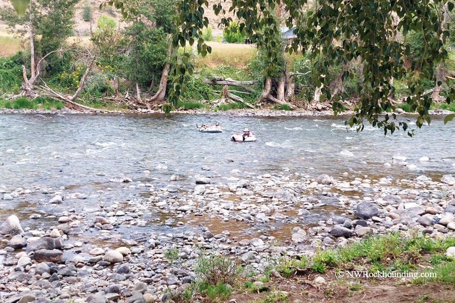 Methow River Rockhounding in Washington – Methow River TubersMethow River Rockhounding in Washington: The picture "Methow River Tubers" features people floating on inner tubes down a flowing river, with a rocky shore and overhanging tree branches in the foreground and forested opposite bank in the background.
