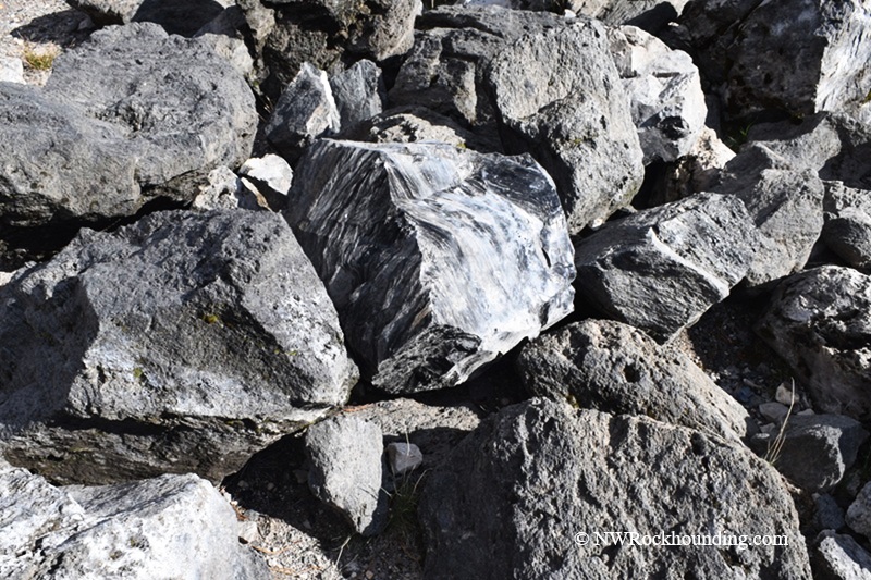Big Obsidian Flow Oregon – Big Obsidian Boulder Closeup Big Obsidian Flow Oregon: The picture "Big Obsidian Boulder Closeup" is a close-up of several large, jagged volcanic rocks with one prominent black-and-white obsidian boulder displaying striking shiny layers.