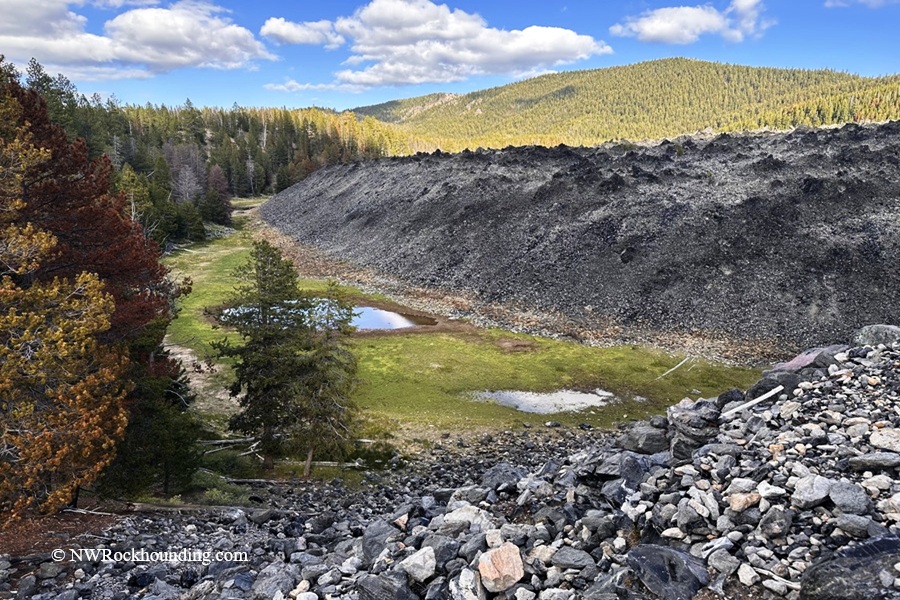 Big Obsidian Flow Oregon – Big Obsidian Flow Edge Big Obsidian Flow Oregon: The picture "Big Obsidian Flow Edge" captures the sharp, uneven edge of a massive obsidian lava flow rising above a grassy, marshy clearing and surrounded by evergreen forested hills.