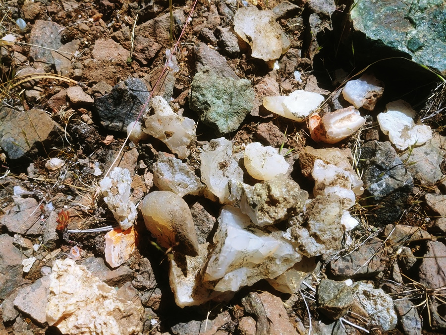 Rooster Rock Rockhounding in the Ochoco Mountains of Central Oregon – Rooster Rock Agate and Jasper FindsRooster Rock Rockhounding in the Ochoco Mountains of Central Oregon – The picture "Rooster Rock Agate and Jasper Finds" shows a close-up of rough agate and jasper stones scattered on sunlit, rocky ground, displaying a variety of milky white, translucent, and earthy-colored pieces among dry soil and small rocks.