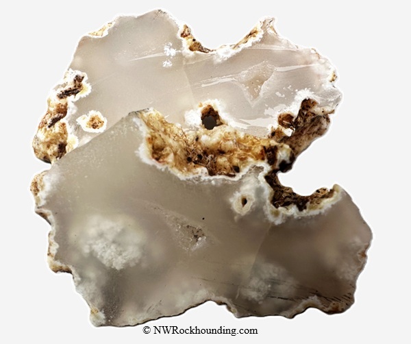 Rooster Rock Unpolished Agate - Oregon